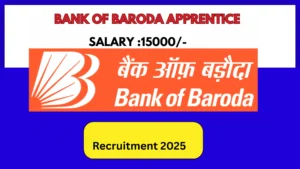 bank of baroda internship 2025